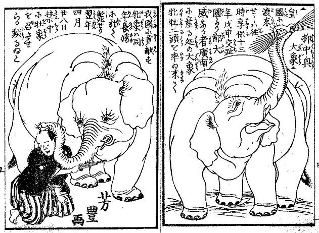 文久三年(1863)癸亥 象の見世物 : 見世物興行年表 文久三年(1863)癸亥 象の見世物 : 見世物興行年表