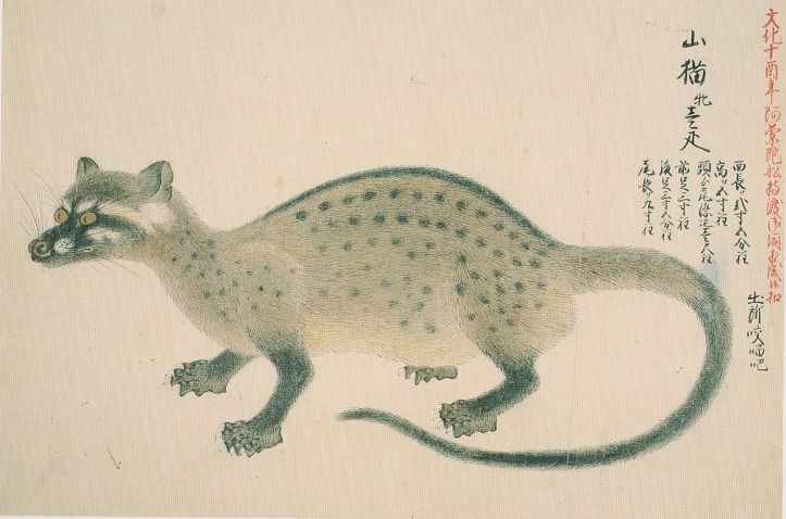 文化十三年 1816 文化十四年 1817 見世物興行年表 文化十三年 1816 文化十四年 1817 見世物興行年表