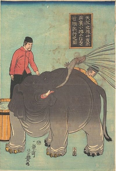 文久三年（1863）癸亥 象の見世物 : 見世物興行年表