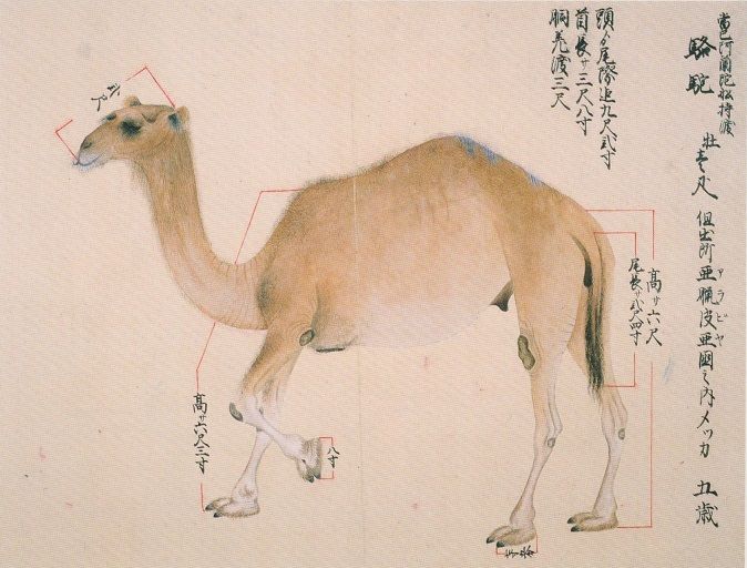 文政四年(1821)辛巳 7月~12月 : 見世物興行年表 文政四年(1821)辛巳 7月~12月 : 見世物興行年表