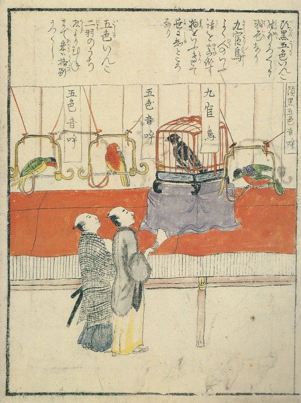 【 文政4年の鰐口 】　大麻・女人講中・大師刻　江戸後期 大江戸の最後 偕成社 伊藤幾久造・伊勢良夫・装・画(野村胡堂