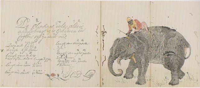 文化十年（1813） : 見世物興行年表