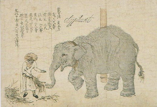 文化十年（1813） : 見世物興行年表