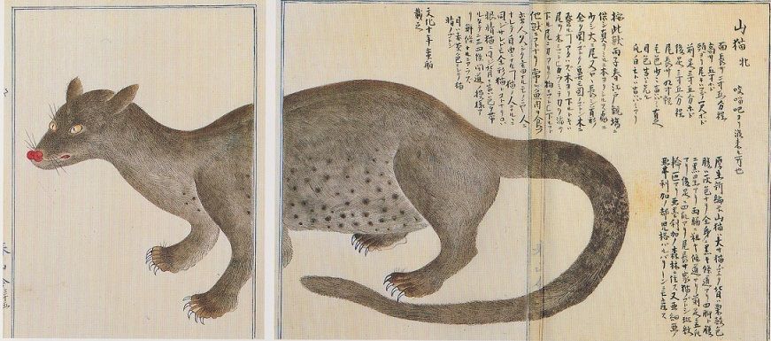 文化十三年（1816）～文化十四年（1817） : 見世物興行年表