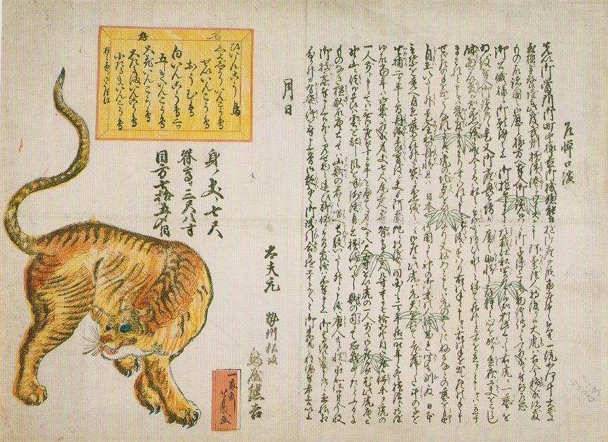元治元年(1864)甲子 : 見世物興行年表 元治元年(1864)甲子 : 見世物興行年表