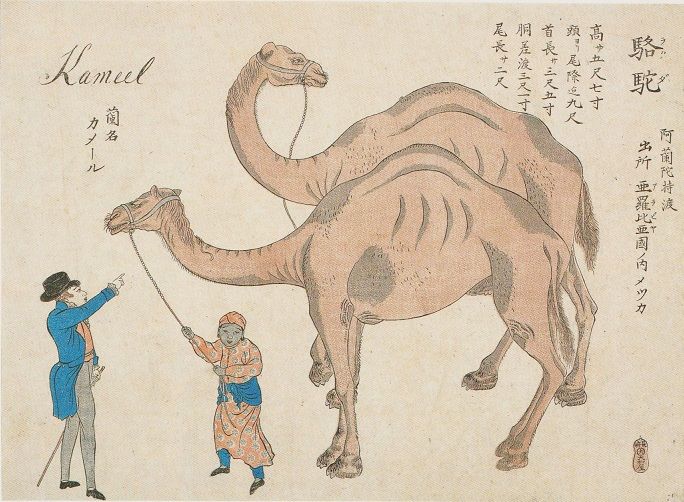 文政四年(1821)辛巳 7月~12月 : 見世物興行年表 文政四年(1821)辛巳 7月~12月 : 見世物興行年表