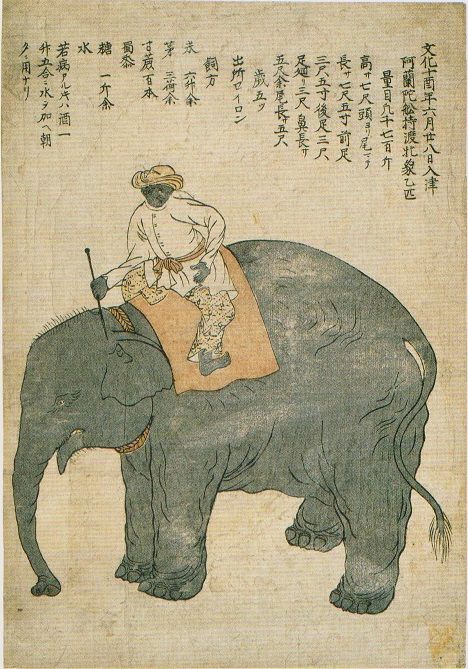 文化十年（1813） : 見世物興行年表