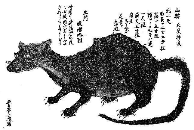 文化十三年（1816）～文化十四年（1817） : 見世物興行年表