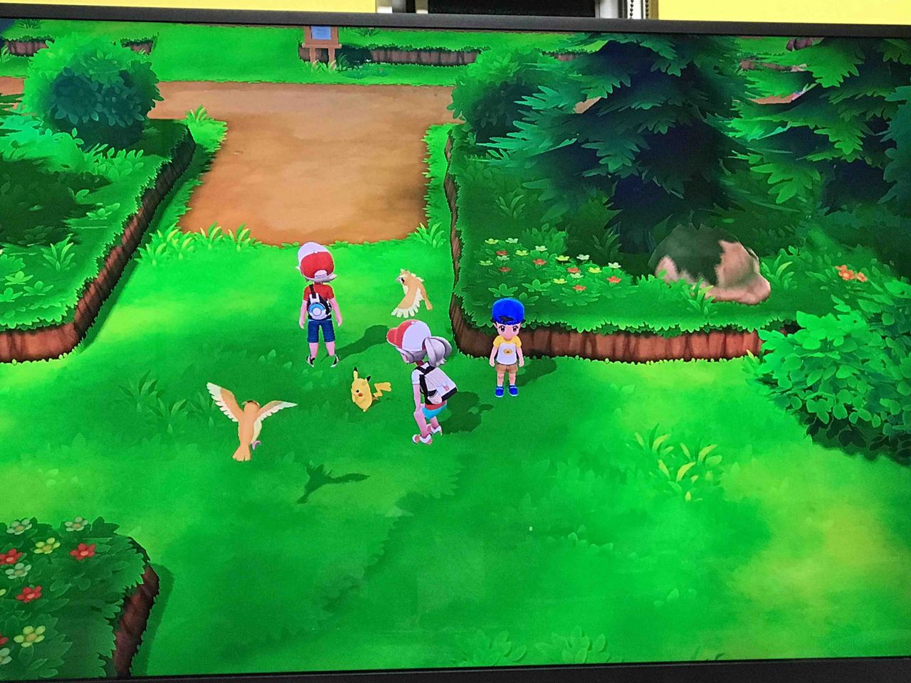 ポケモンレッツゴー ピカチュー 50歳からの ポケモンレッツゴー ピカチュー 50歳からの