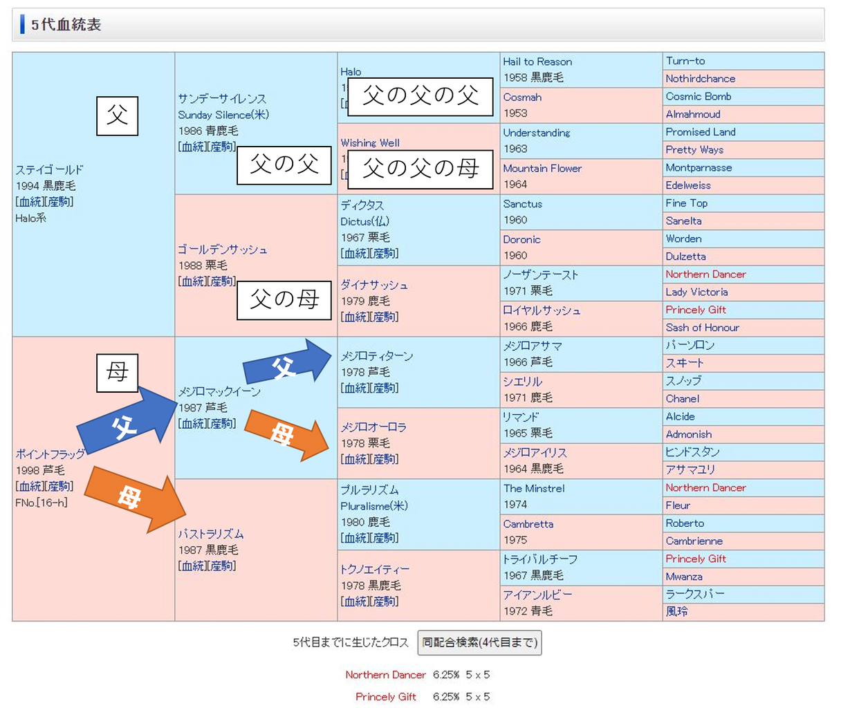 競馬 その 血統表の見方 インブリード 初心者向け ゴールドシップ血統研究家を目指す平凡サラリーマン一口競馬ビボブログ 競馬 その 血統表の見方 インブリード 初心者向け ゴールドシップ血統研究家を目指す平凡サラリーマン一口競馬ビボブログ