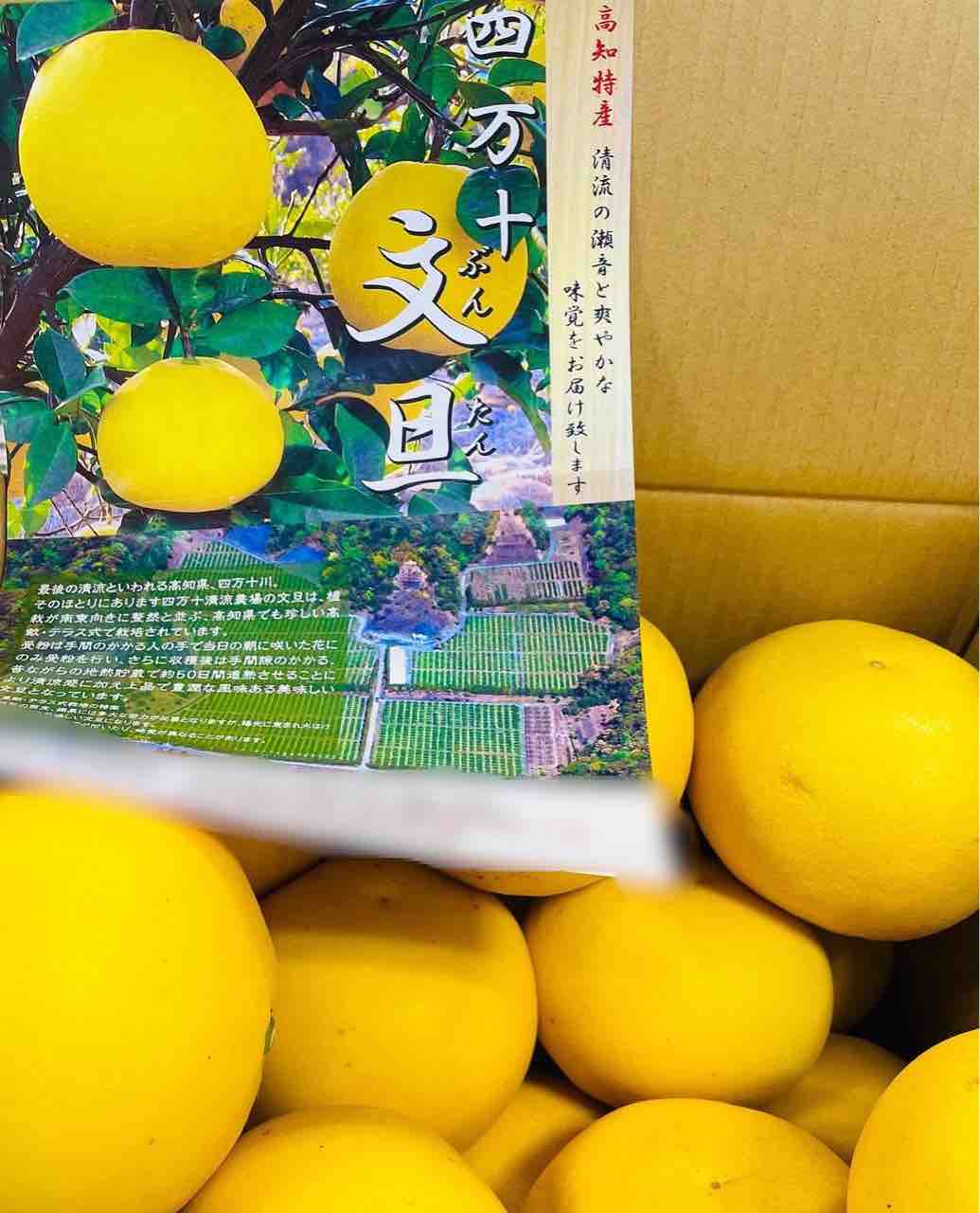 高知からの贈り物 静岡トヨタ三島店のblog