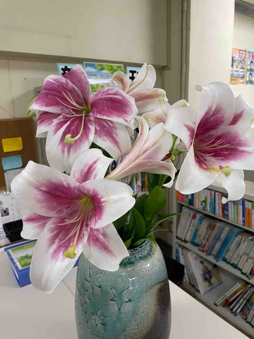 オリエンタルユリ 三島コミュニティセンター