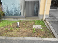 DSCN3891