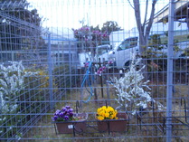 DSCN8753