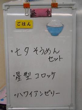 DSCN6500