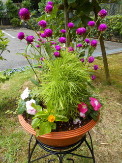 DSCN6327