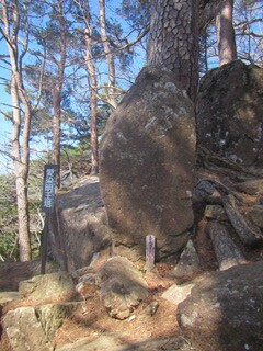 06IMG_0568