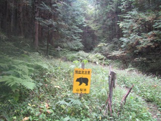 16IMG_9561