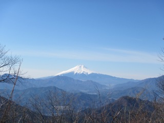 11IMG_0486