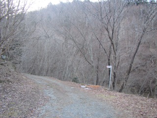 01IMG_0470