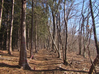 06IMG_0478