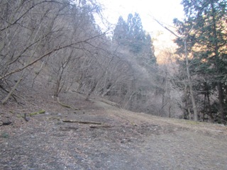 02IMG_0471