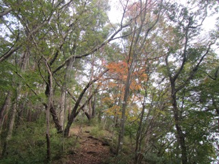 06IMG_9545
