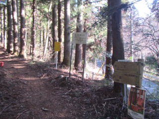 03IMG_0435