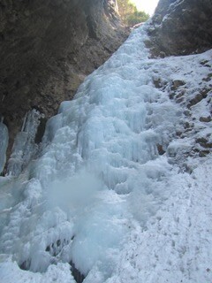 07IMG_0391