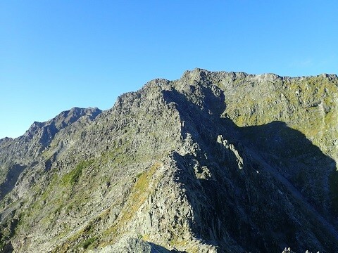 IMG_2754 (1)