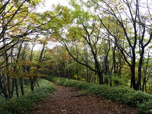 P1050481