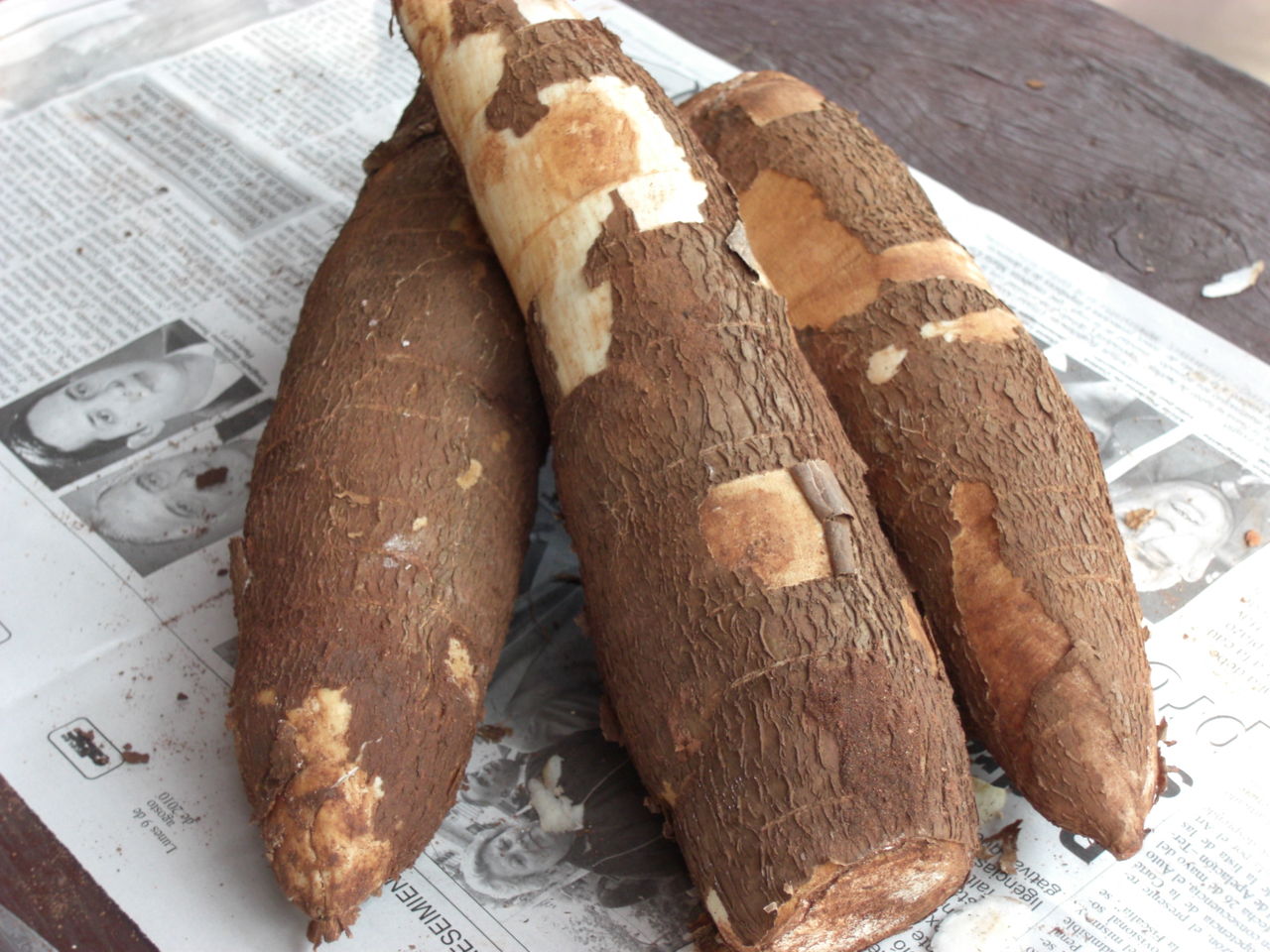 たくさん食べた芋 Mandioca ミシオネスの太陽blog