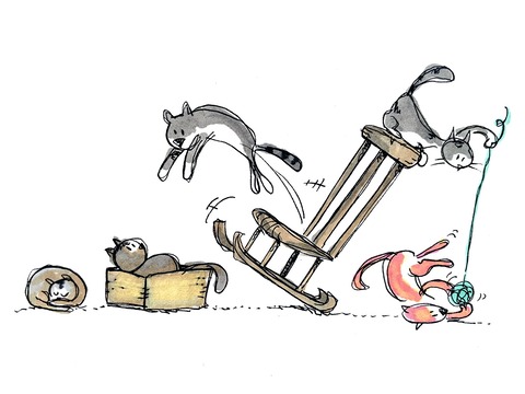 cats-gef0f41ff3_1920