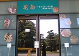 花鳥