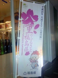 八重の桜