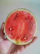 �ڤ��