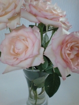 roses