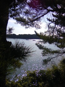 松島