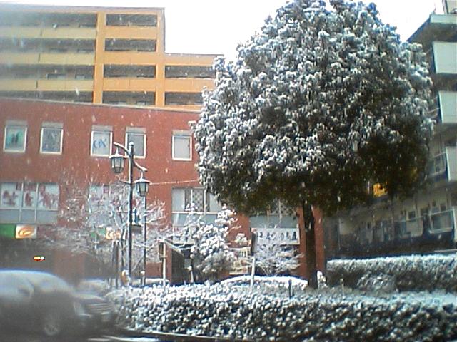 初雪