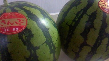 まるっとスイカ