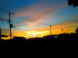 b89d2b01.JPG