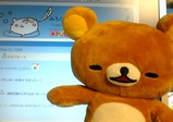 kuma&blog