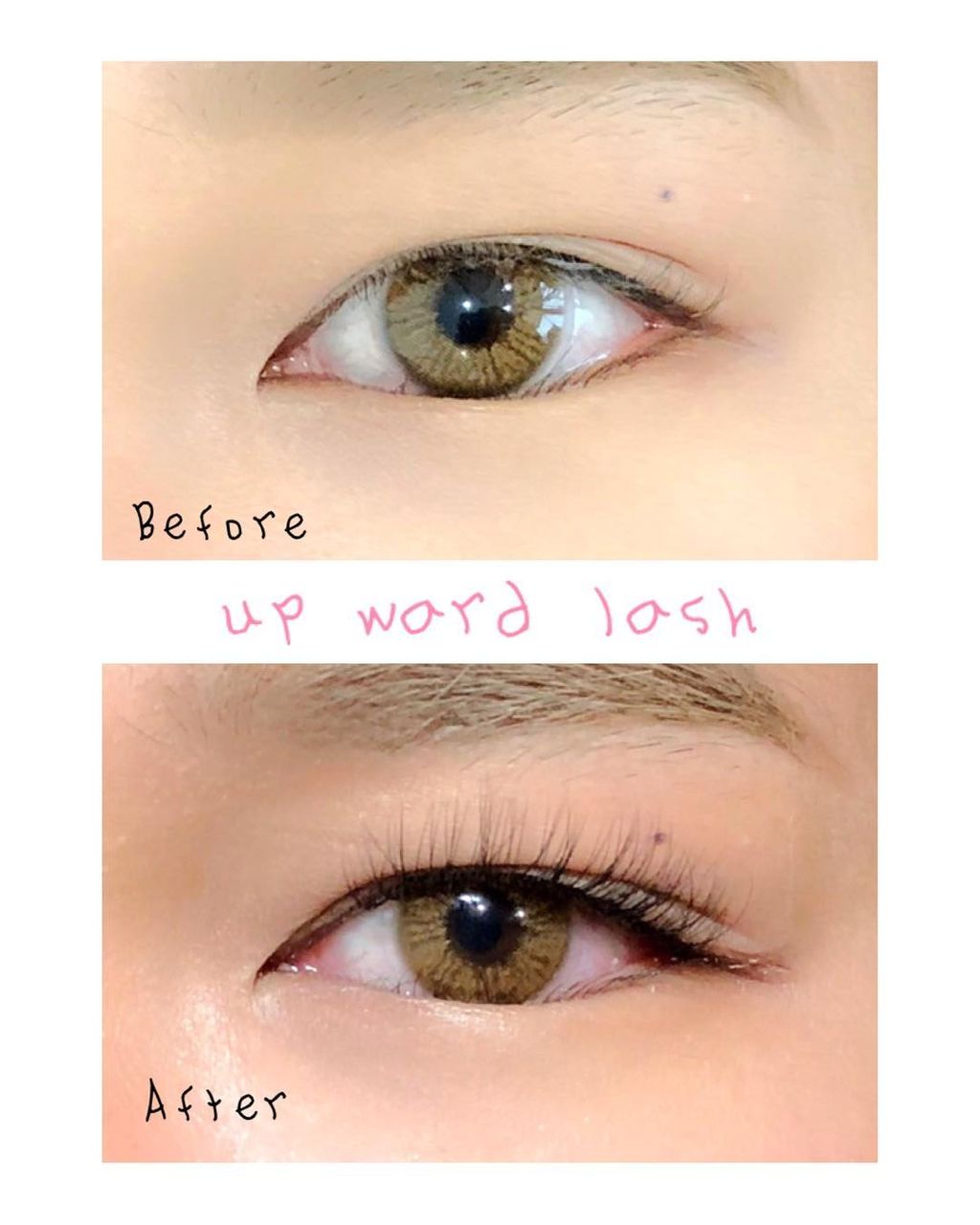 モデル オディカツ