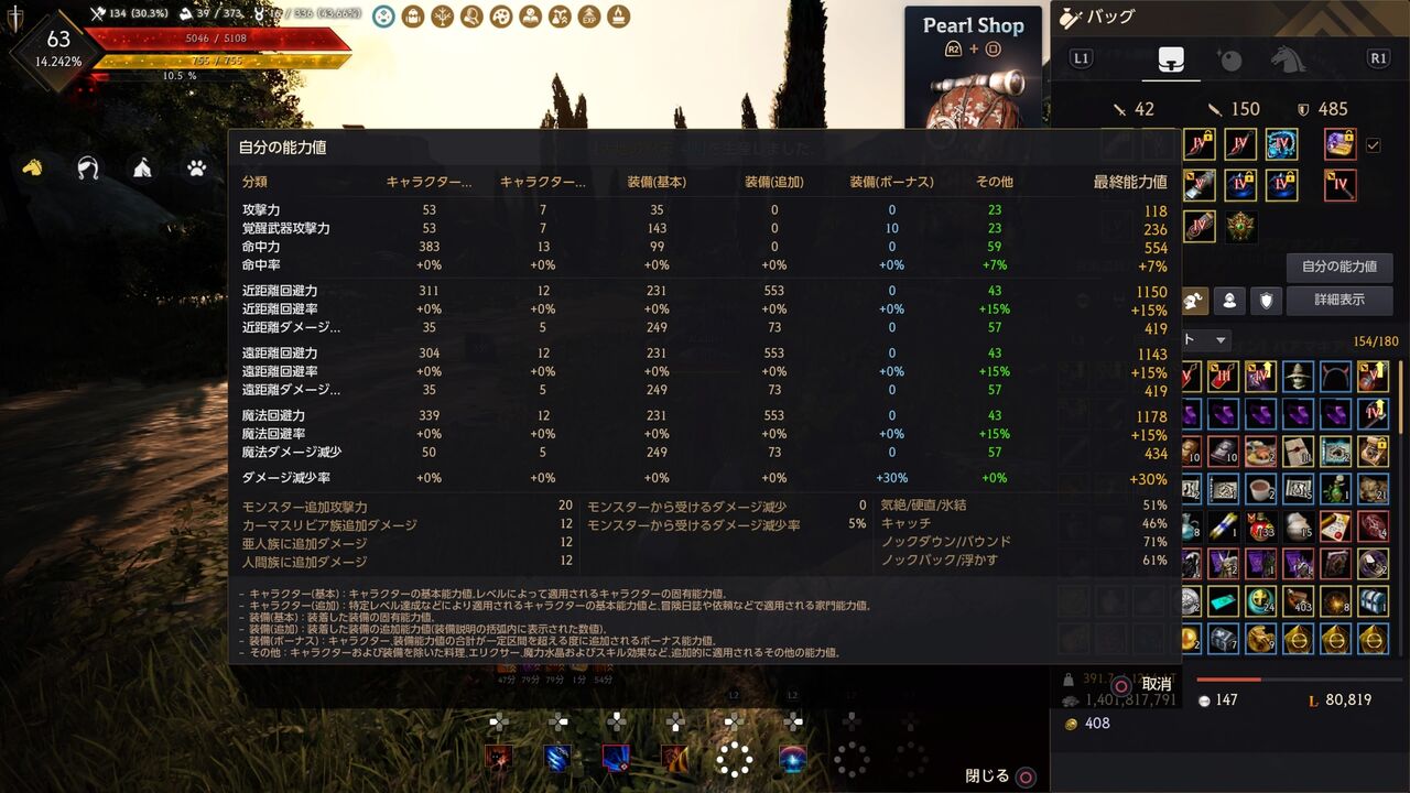 自分のd盛り装備紹介 黒い砂漠console Misotvのブログ