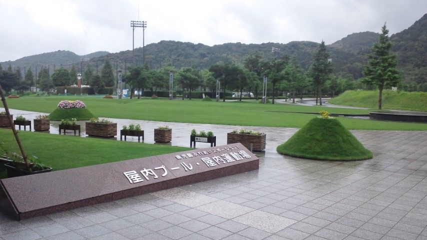 大将日記 最近ハマってます