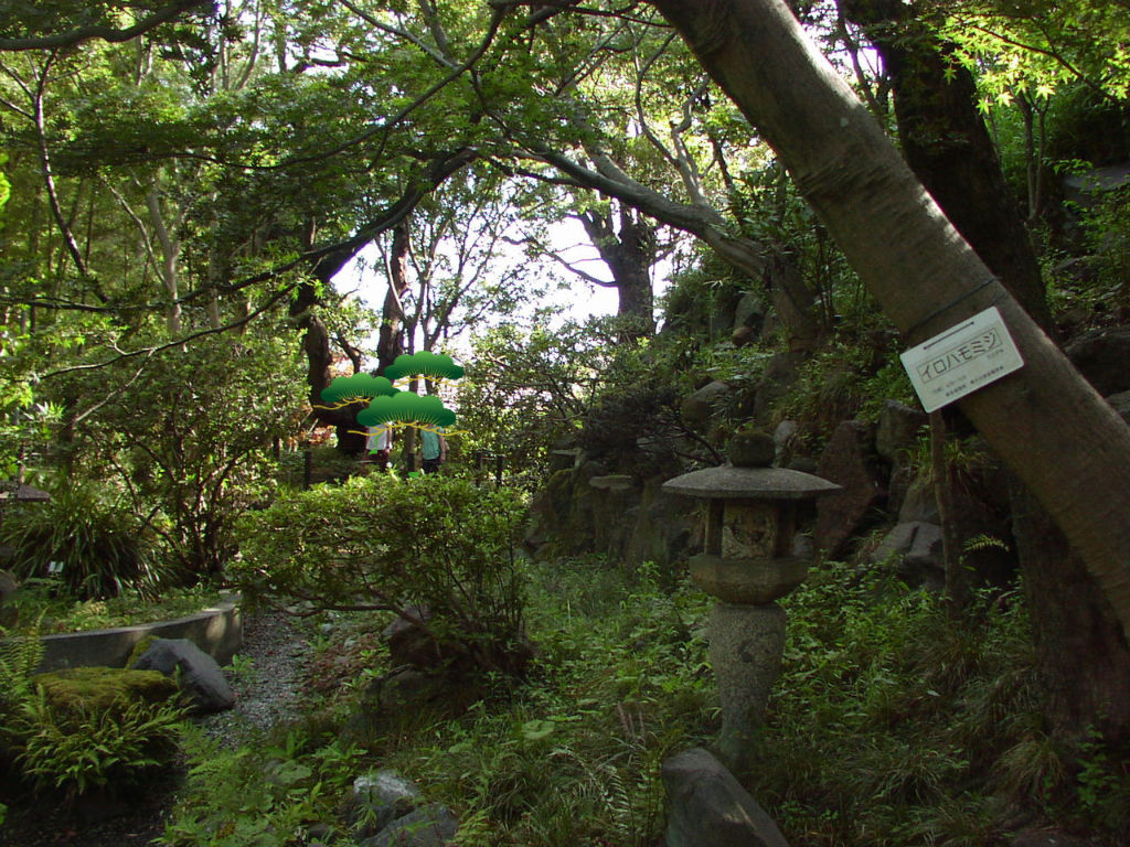 等々力渓谷3 日本庭園 むしむしくん むしむしちゃん2 等々力渓谷3 日本庭園 むしむしくん むしむしちゃん2