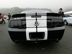 シェルビー GT500リヤビュー