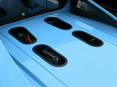 ジネッタG12エンジンフード