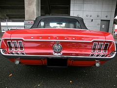 1967年式フォード・マスタング コンバーチブル リヤビュー