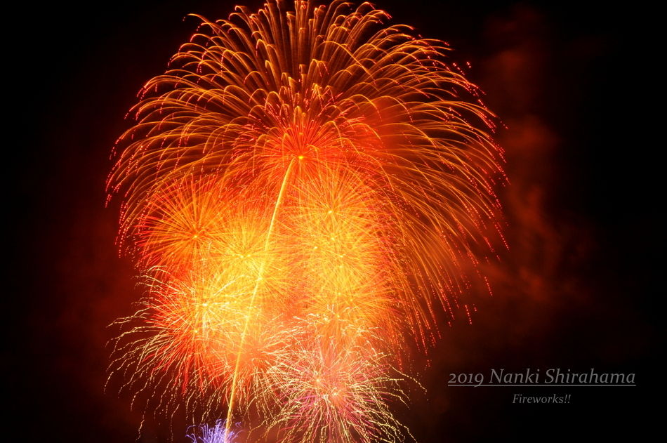 ダメだぁ 回復しない海 南紀白浜 ミスオーシャンダイビングサービス 今日の海ログ